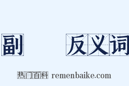 副總統反义词是什么意思的图片